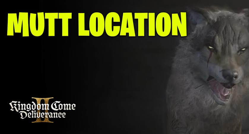 How to Find Mutt Fast!